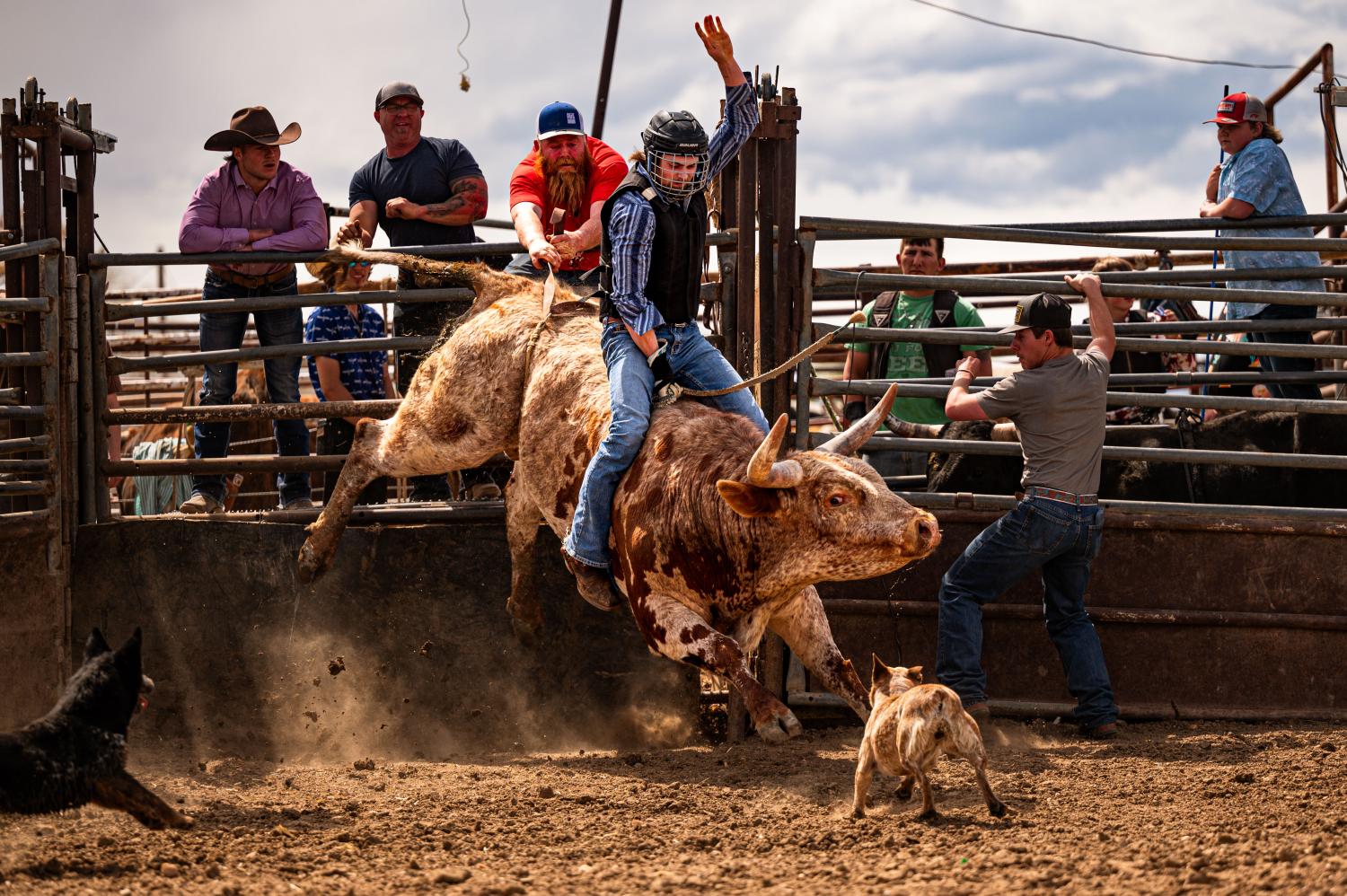 Roughstock: Raised For The Job